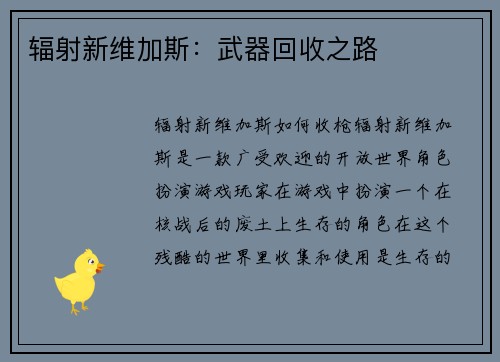 辐射新维加斯:武器回收之路